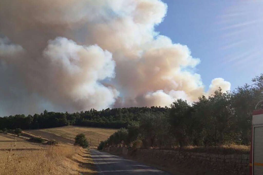 Galleria foto 'Incendi nel Mediterraneo, a Potenza il battesimo del progetto europeo “Res2Fire”' - foto 1