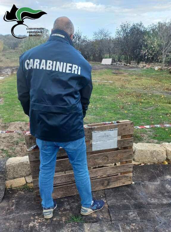 Francavilla Fontana, rifiuti bruciati e interrati in campagna: denunciato un 47enne – FOTO Francavilla Fontana, rifiuti bruciati e interrati in campagna: denunciato un 47enne – FOTO
