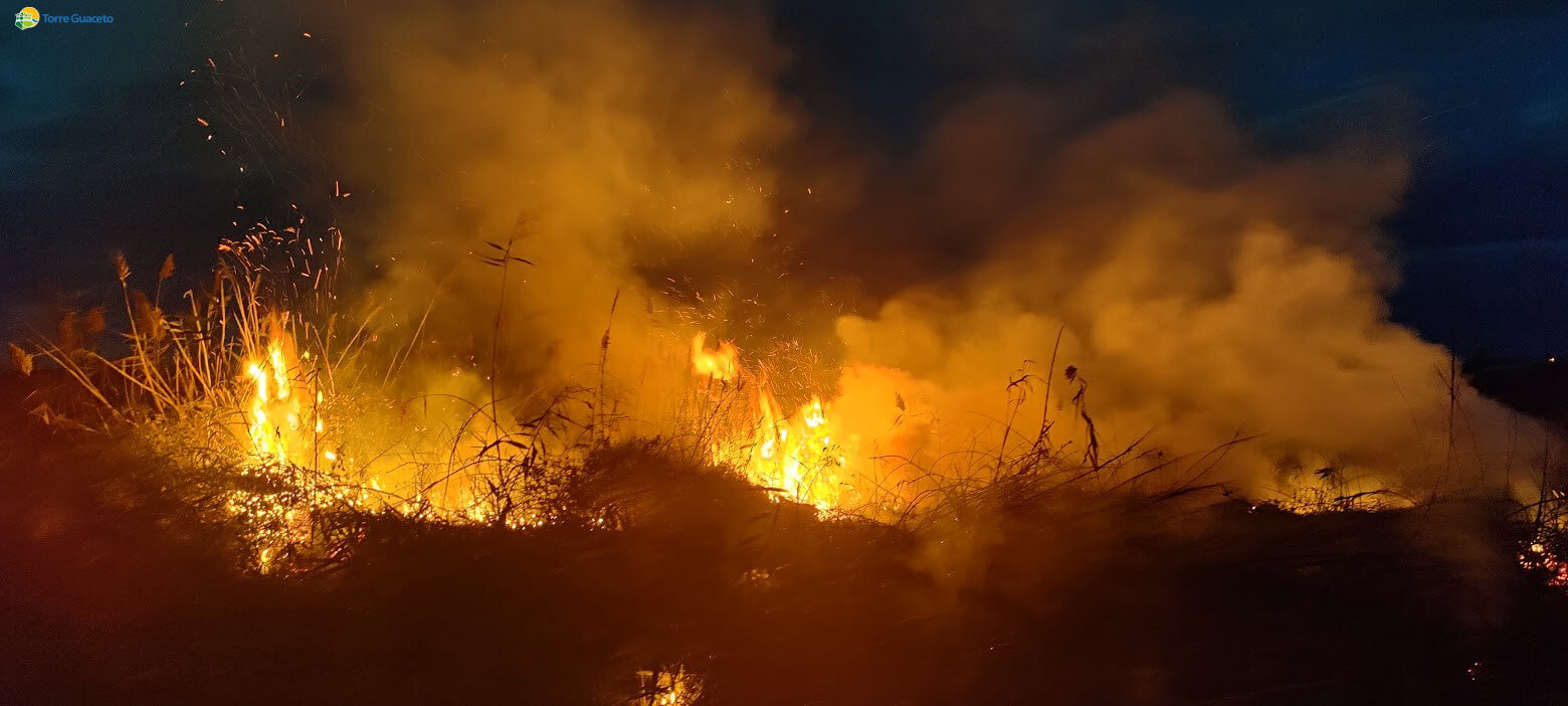 Incendio nell’area naturalistica a Torre Guaceto, in fumo 300 metri quadri: «Temiamo sia doloso» Incendio nell’area naturalistica a Torre Guaceto, in fumo 300 metri quadri: «Temiamo sia doloso»