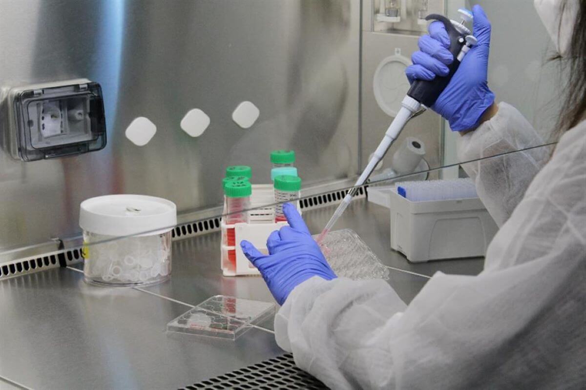 Sla, in Puglia test genetici obbligatori per i pazienti: approvato il protocollo operativo Sla, in Puglia test genetici obbligatori per i pazienti: approvato il protocollo operativo