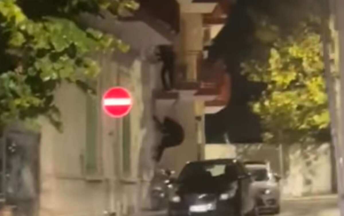 Giovinazzo, 2 ladri si calano da un appartamento di via Framarino: le immagini del furto – VIDEO