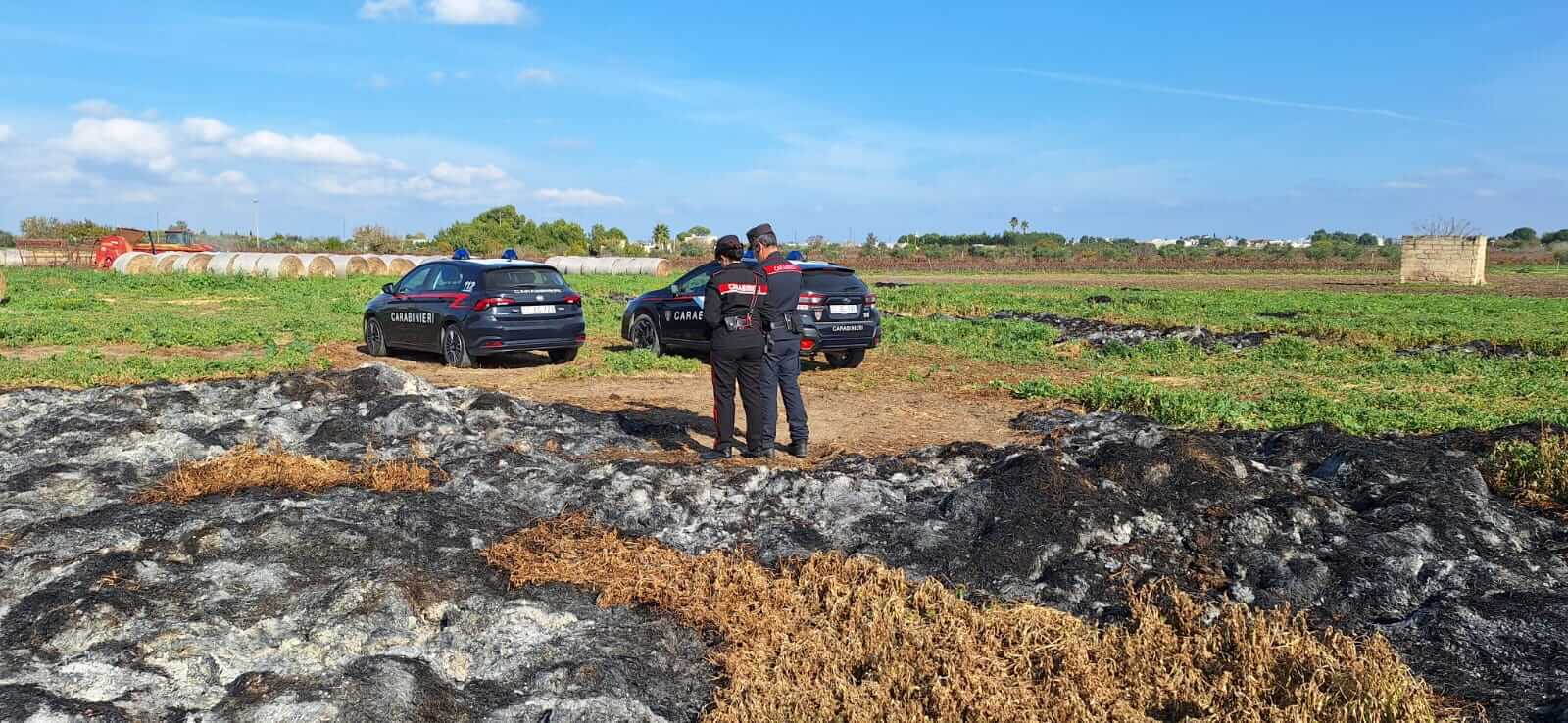 Odori nauseabondi a Veglie: trovati 140 metri cubi di letame incendiato, denunciato un uomo Odori nauseabondi a Veglie: trovati 140 metri cubi di letame incendiato, denunciato un uomo