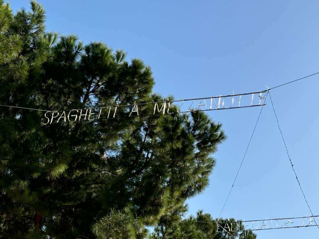 Da “Vieni avanti cretino” a “Discrazieto maledetto”: a Canosa le luminarie dedicate a Lino Banfi – FOTO Da “Vieni avanti cretino” a “Discrazieto maledetto”: a Canosa le luminarie dedicate a Lino Banfi – FOTO