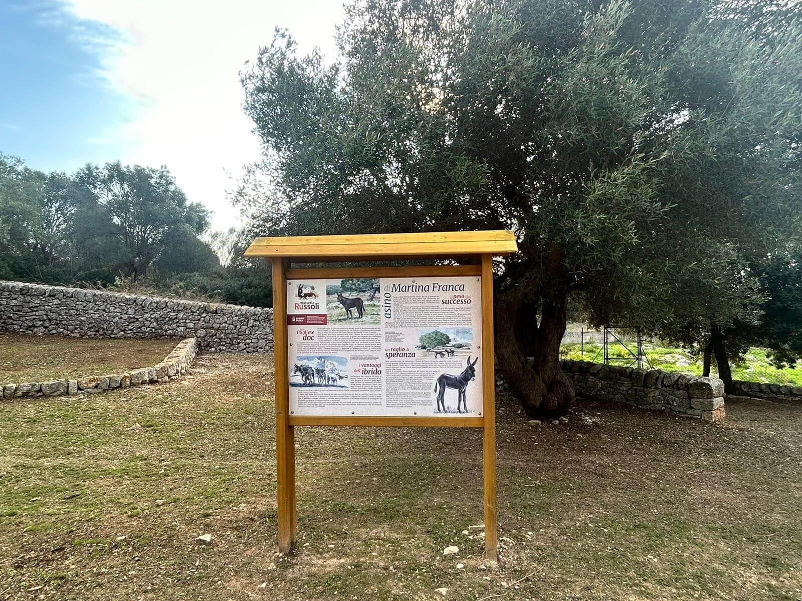 Martina Franca, la proposta in Regione: «La masseria degli asini diventi polo terapeutico» Martina Franca, la proposta in Regione: «La masseria degli asini diventi polo terapeutico»
