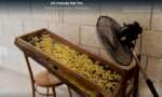 Orecchiette a Bari, “Mi manda Rai Tre” indaga sul “ristorante” in casa. In arrivo il servizio de Le Iene