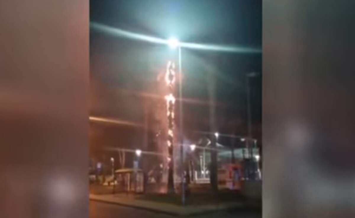 Porto Cesareo, incendiano una palma davanti ai propri genitori: nei guai 3 minorenni – VIDEO Porto Cesareo, incendiano una palma davanti ai propri genitori: nei guai 3 minorenni – VIDEO