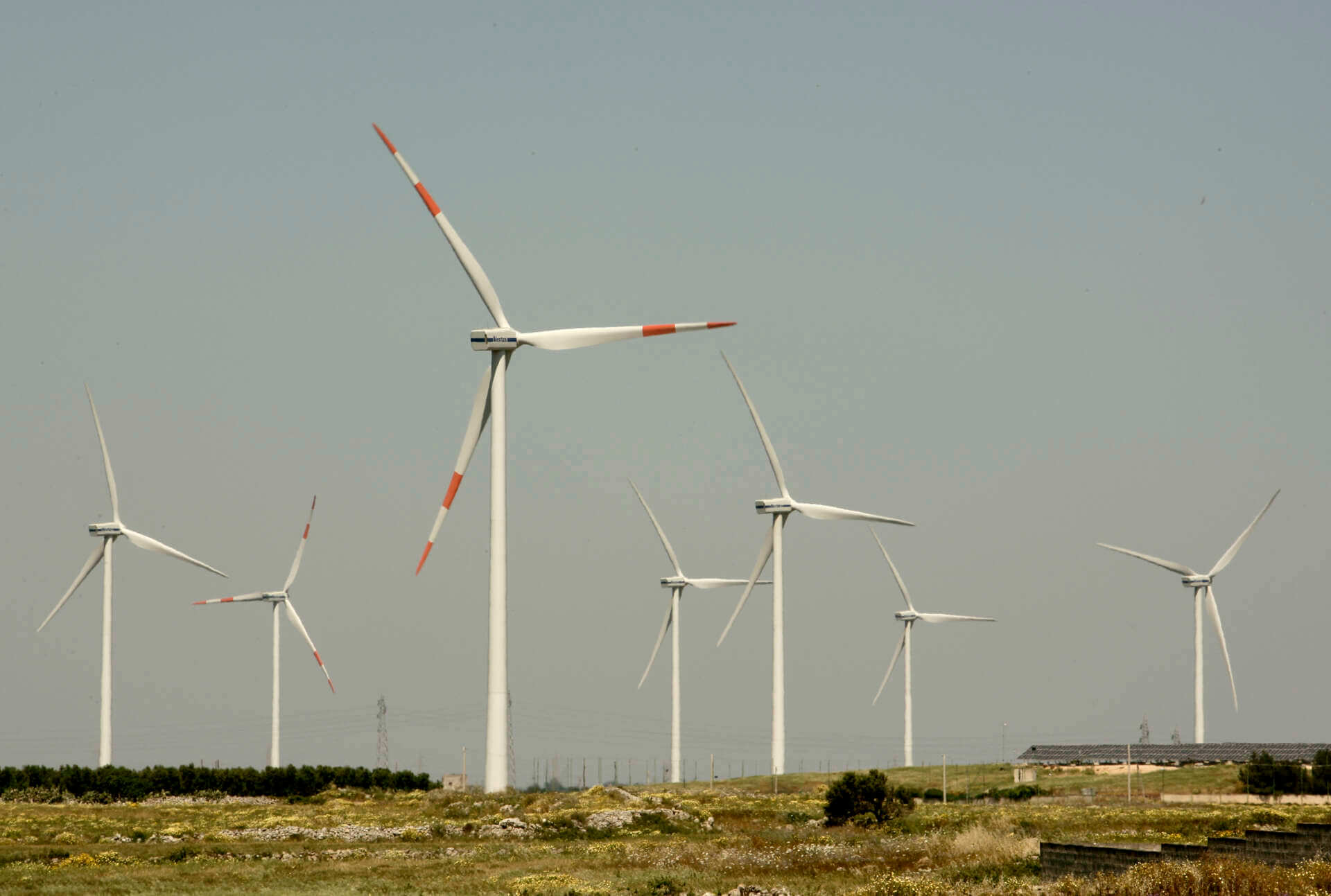 Parco eolico “Lecce-Beta”, la Provincia boccia il progetto e invia le osservazioni a Regione e ministero dell’Ambiente