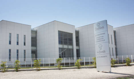 sede ladisa