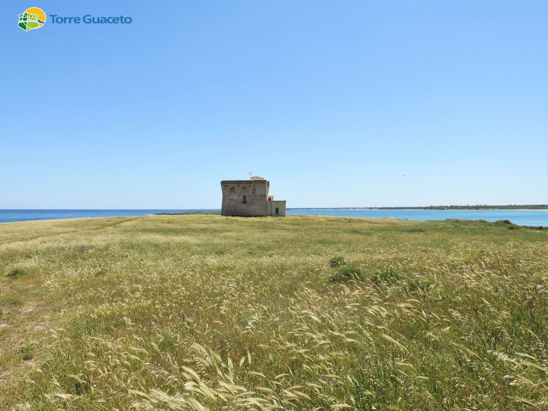 Torre Guaceto, demolito un immobile abusivo di 75 metri quadrati all’interno dell’area protetta