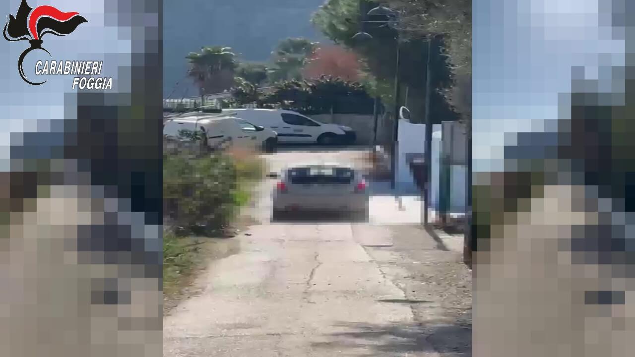 Mattinata, finto maresciallo si fa consegnare 3mila euro da un’anziana: arrestato un 21enne – VIDEO Mattinata, finto maresciallo si fa consegnare 3mila euro da un’anziana: arrestato un 21enne – VIDEO