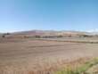Agricoltura, al via l’erogazione di 23 milioni di euro per oltre 5.300 aziende pugliesi