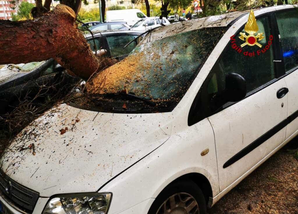 Galleria foto 'Maltempo, ancora disagi in Puglia: nel Salento alberi sulle auto. Diversi interventi dei vigili del fuoco' - foto 2