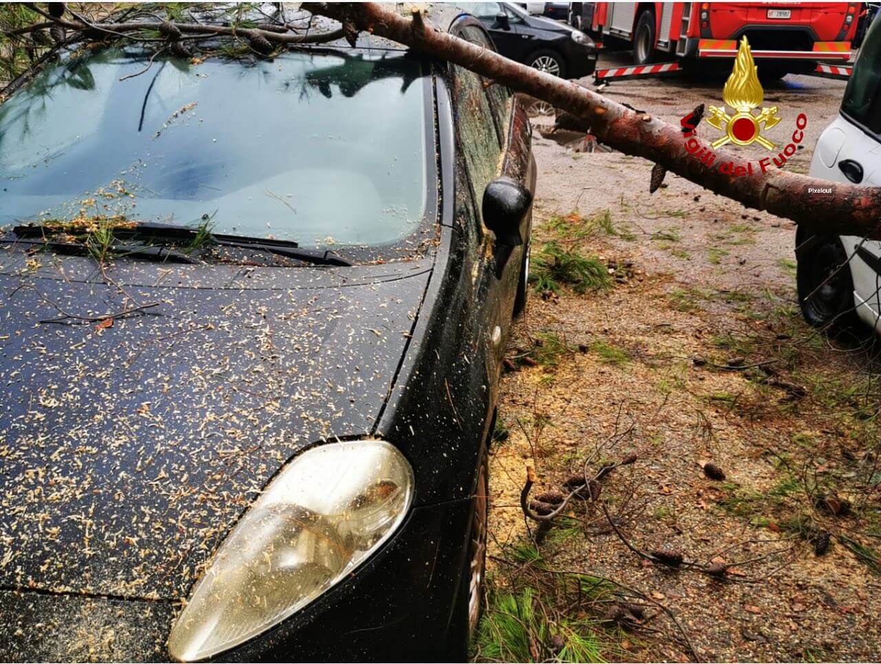 Bari, alberi caduti. Perlino: «Danni contenuti grazie a monitoraggio continuo»