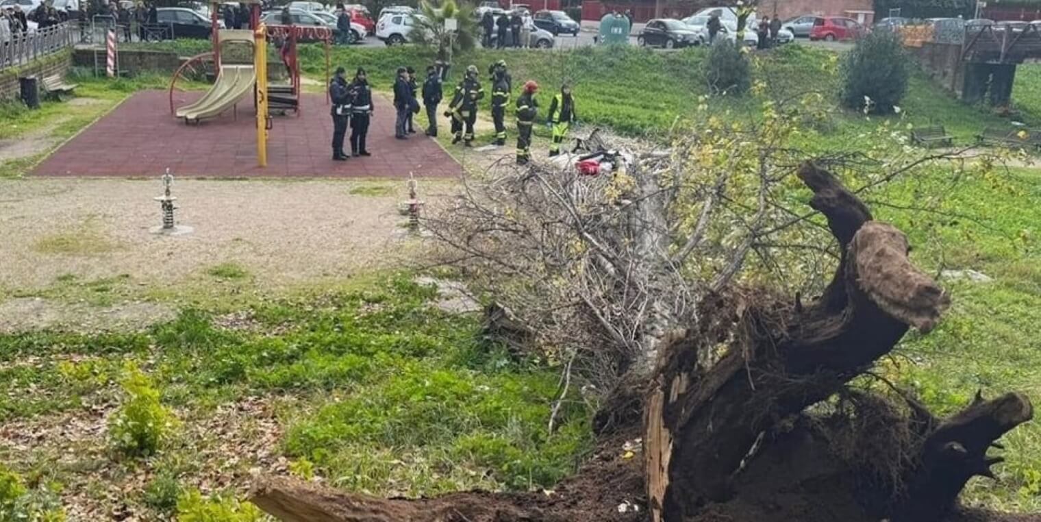 Roma, albero rovina su mamma con tre figli: lei muore. Procura indaga per omicidio colposo Roma, albero rovina su mamma con tre figli: lei muore. Procura indaga per omicidio colposo