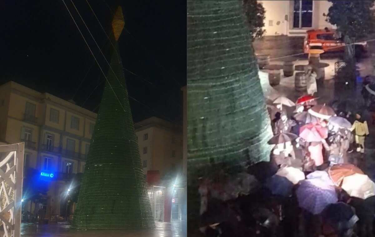 Potenza, sabotata l’accensione dell’albero di Natale in piazza: il Comune denuncia Potenza, sabotata l’accensione dell’albero di Natale in piazza: il Comune denuncia