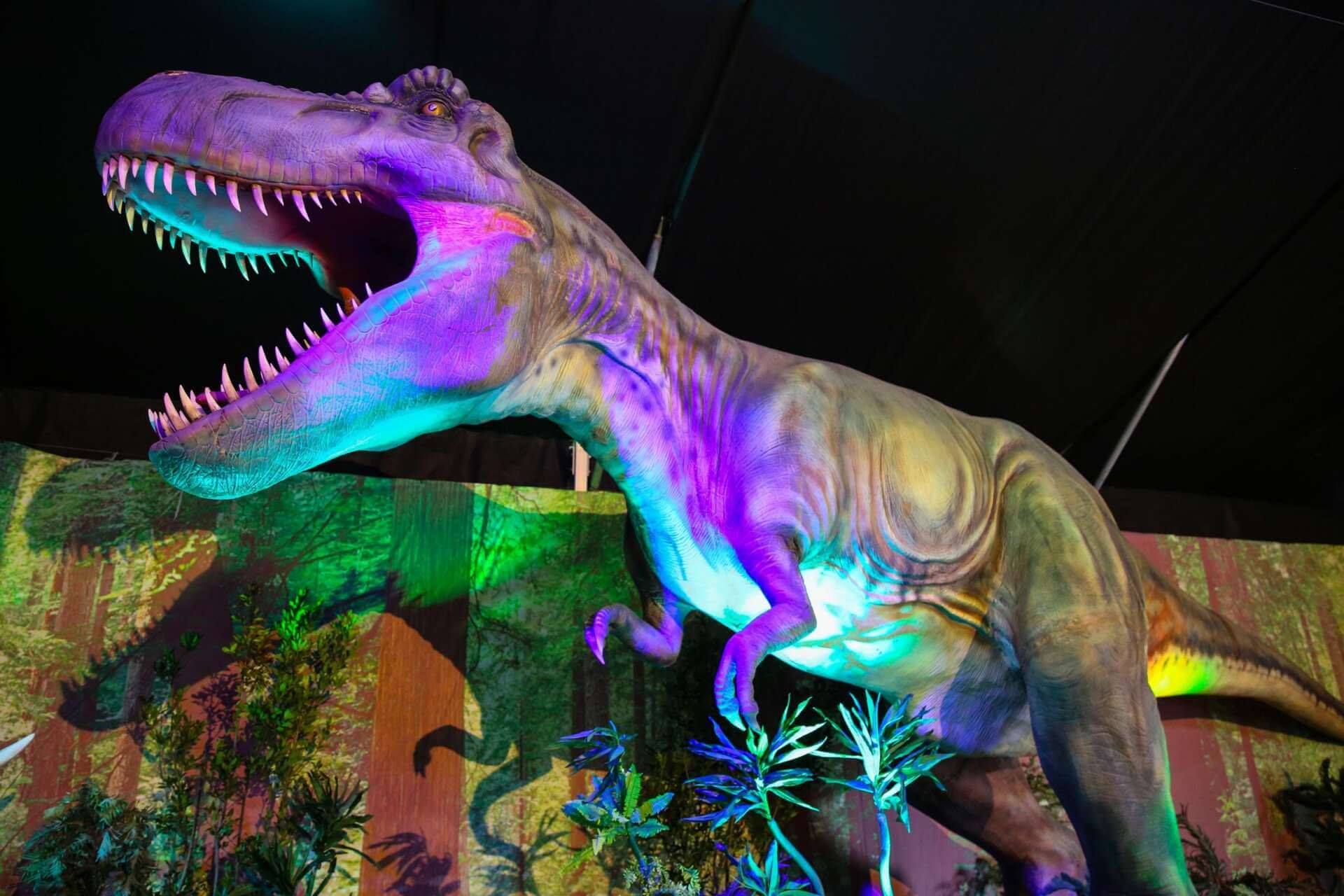 Bari si prepara all’invasione dei dinosauri: in Fiera del Levante il parco giurassico a grandezza naturale