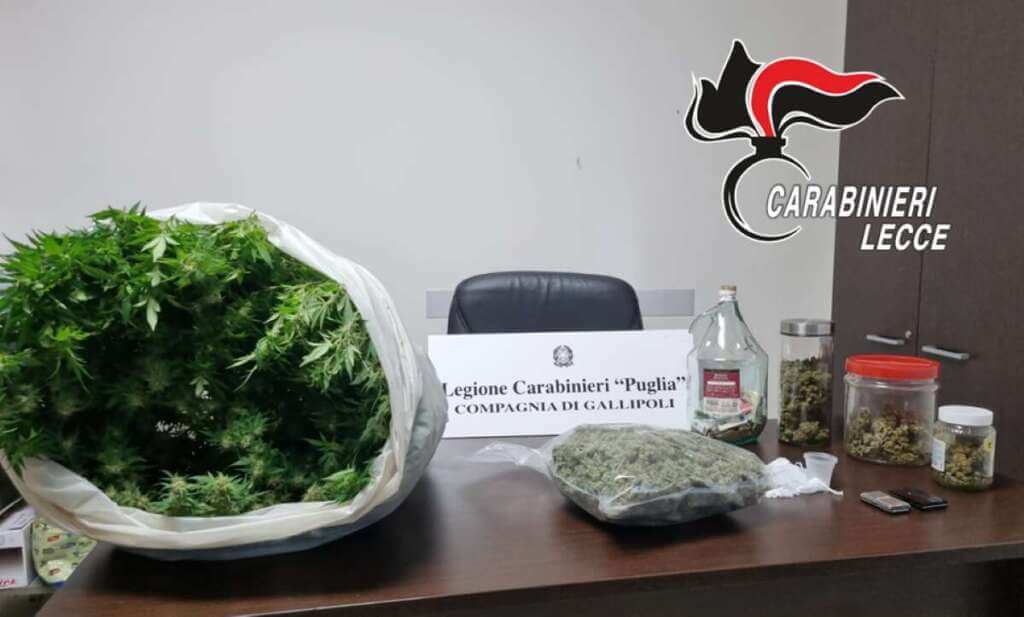 Galleria foto 'Galatina, in casa ha 780 grammi di marijuana e una pianta di cannabis: arrestato un 28enne' - foto 1