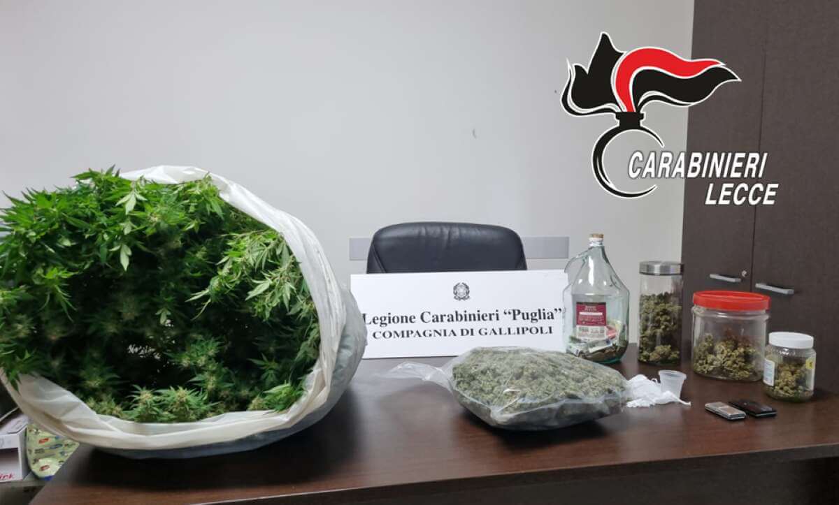 Galatina, in casa ha 780 grammi di marijuana e una pianta di cannabis: arrestato un 28enne