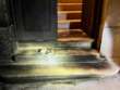 Incendio del portone di casa dell’eurodeputato Ventola: acquisiti i video di tutte le telecamere a Canosa