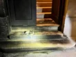 Canosa di Puglia, incendiò il portone di casa dell’eurodeputato Ventola: arrestato un 52enne