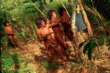 Massaco, in Amazzonia spunta una tribù di indigeni mai vista prima