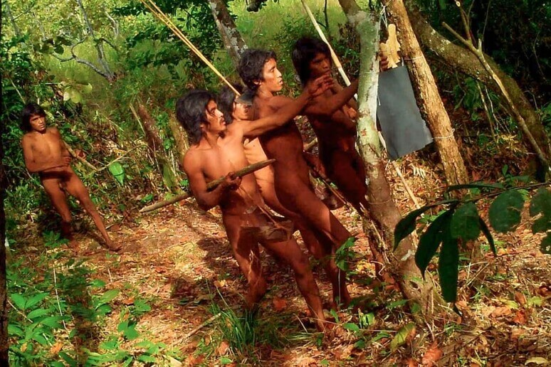 Massaco, in Amazzonia spunta una tribù di indigeni mai vista prima Massaco, in Amazzonia spunta una tribù di indigeni mai vista prima