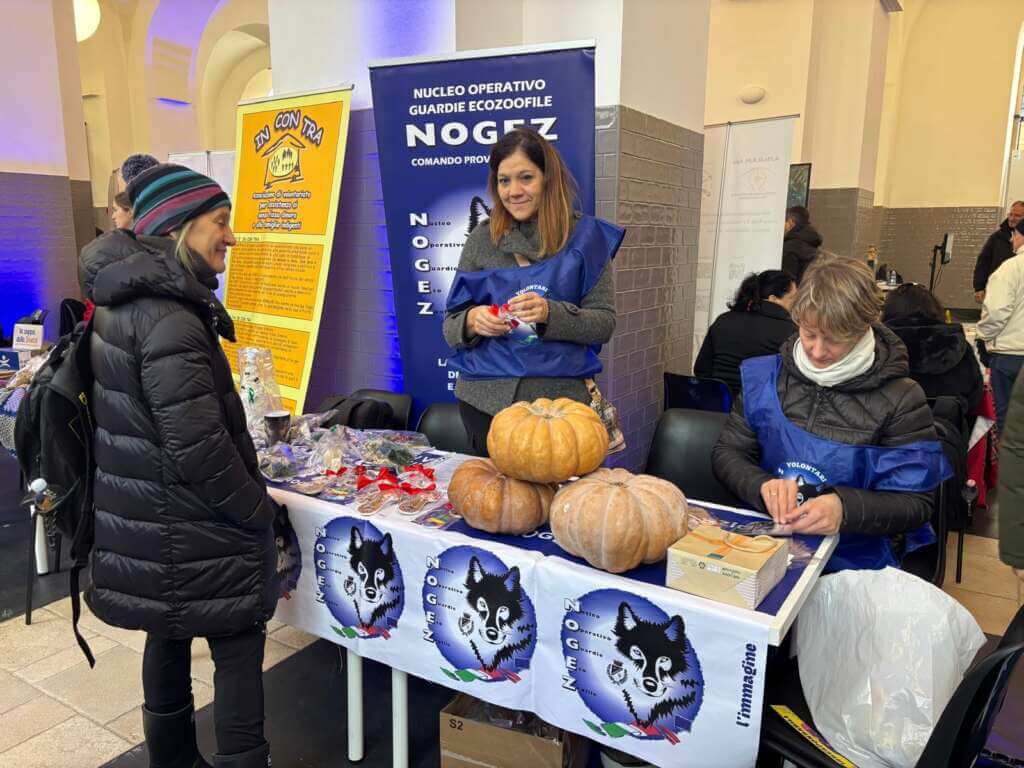 Il Meeting del Volontariato a Bari: associazioni “in mostra” tra storie, impegno e artigianato – FOTO Il Meeting del Volontariato a Bari: associazioni “in mostra” tra storie, impegno e artigianato – FOTO