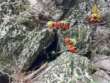 Ragazzi annegati nel Natisone: ipotizzato omicidio colposo per tre vigili del fuoco e un operatore del 112