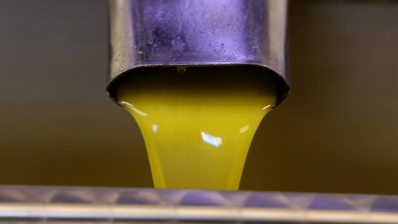 Olio venduto come “extravergine” ma non conforme: maxi multa per la Carapelli di Firenze Olio venduto come “extravergine” ma non conforme: maxi multa per la Carapelli di Firenze