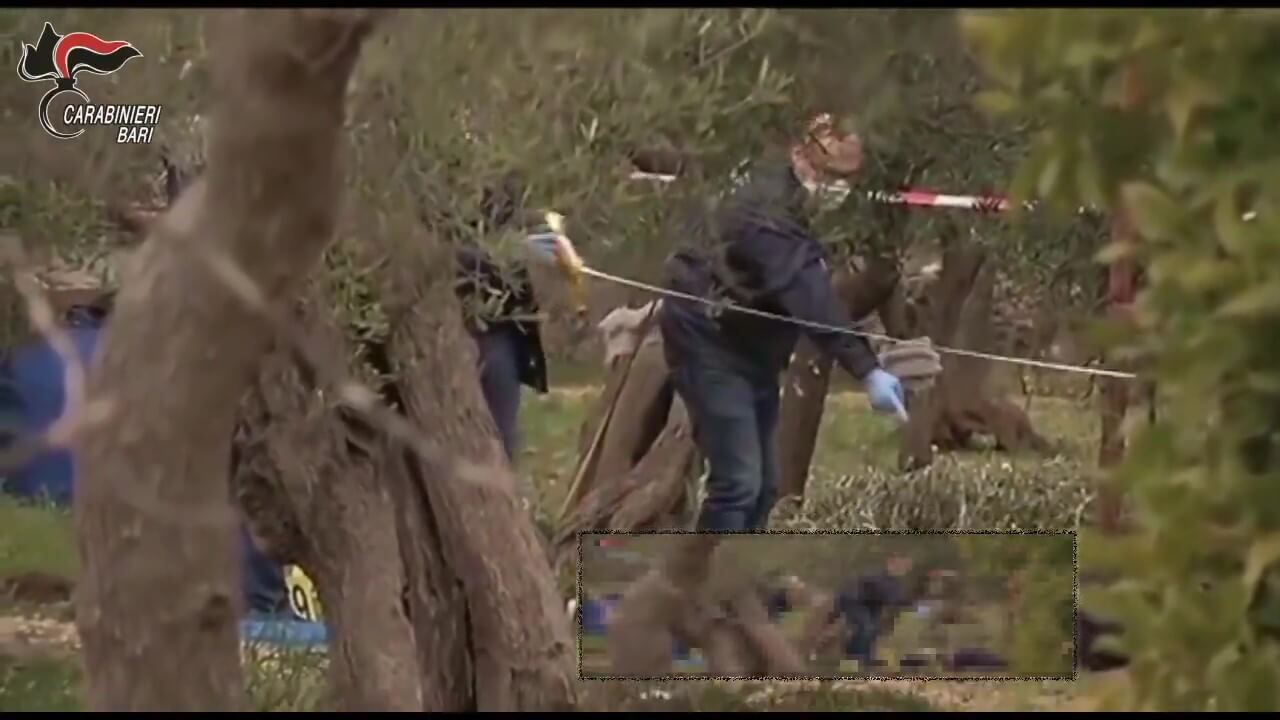 Omicidio di mafia nel Barese, dopo 7 anni la soluzione del caso: arrestato un 37enne di Bitonto – VIDEO Omicidio di mafia nel Barese, dopo 7 anni la soluzione del caso: arrestato un 37enne di Bitonto – VIDEO