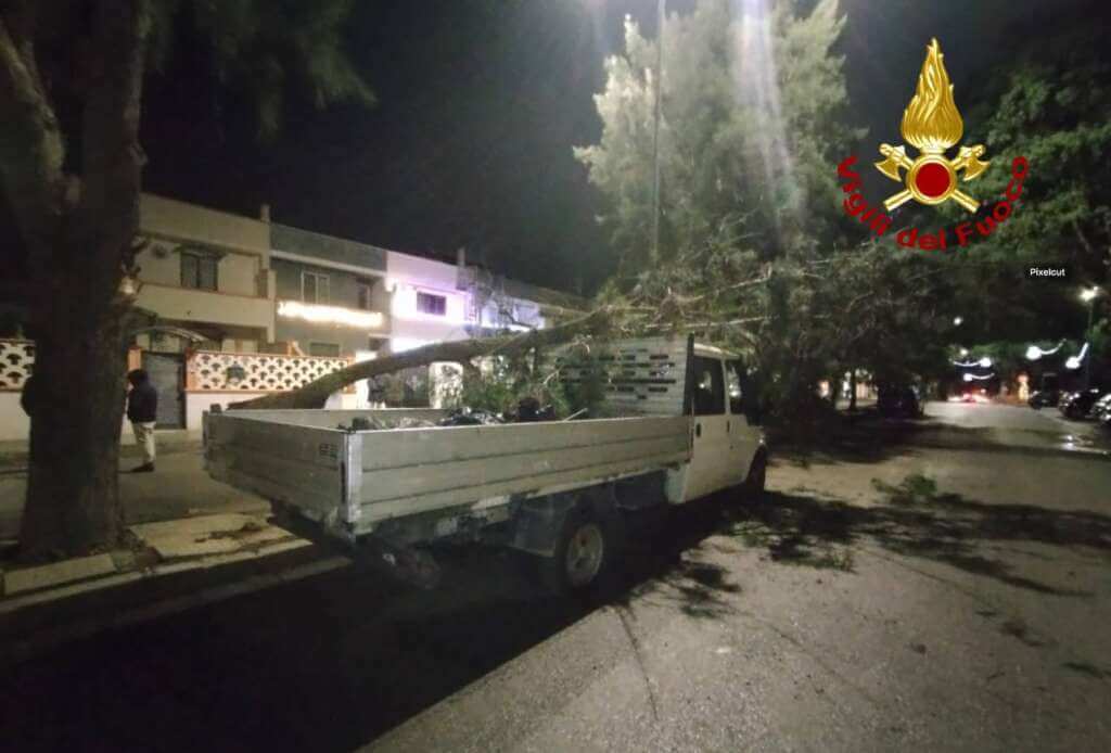 Galleria foto 'Tragedia sfiorata a Surbo, un ramo si spezza e cade su un autocarro: intervengono i vigili del fuoco' - foto 1