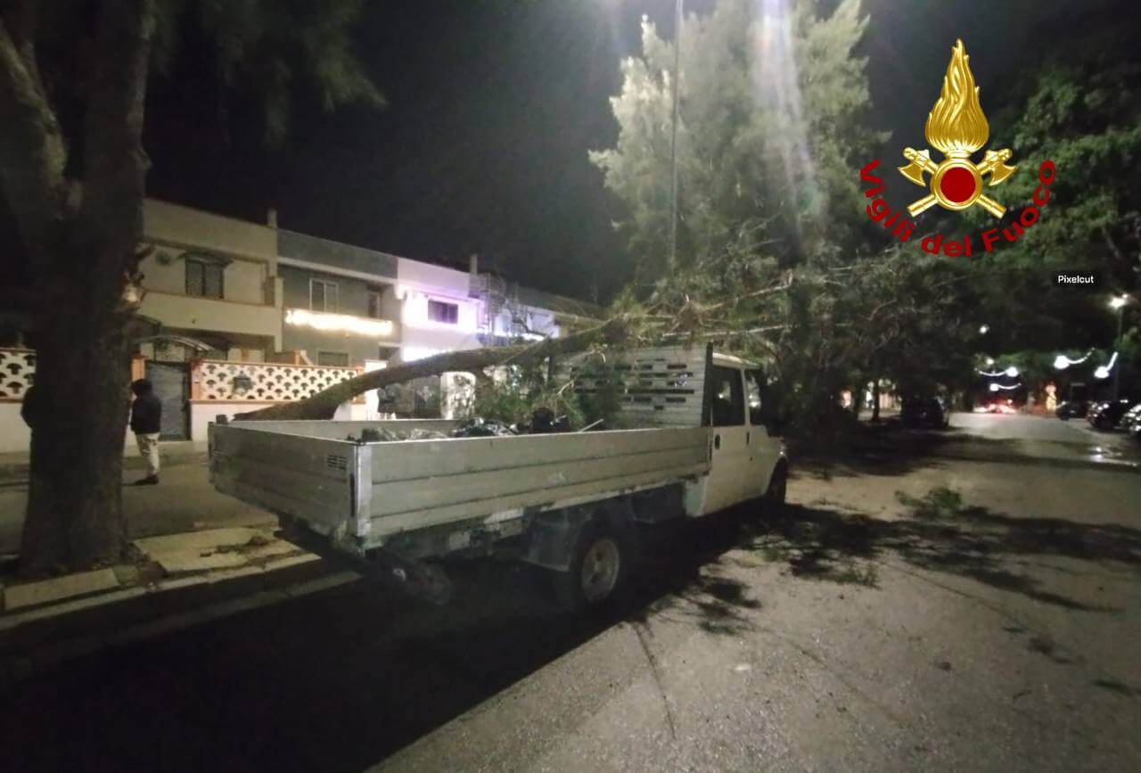 Tragedia sfiorata a Surbo, un ramo si spezza e cade su un autocarro: intervengono i vigili del fuoco