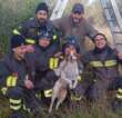 San Pietro Vernotico, cane da caccia finisce in un pozzo: salvato dai vigili del fuoco – FOTO