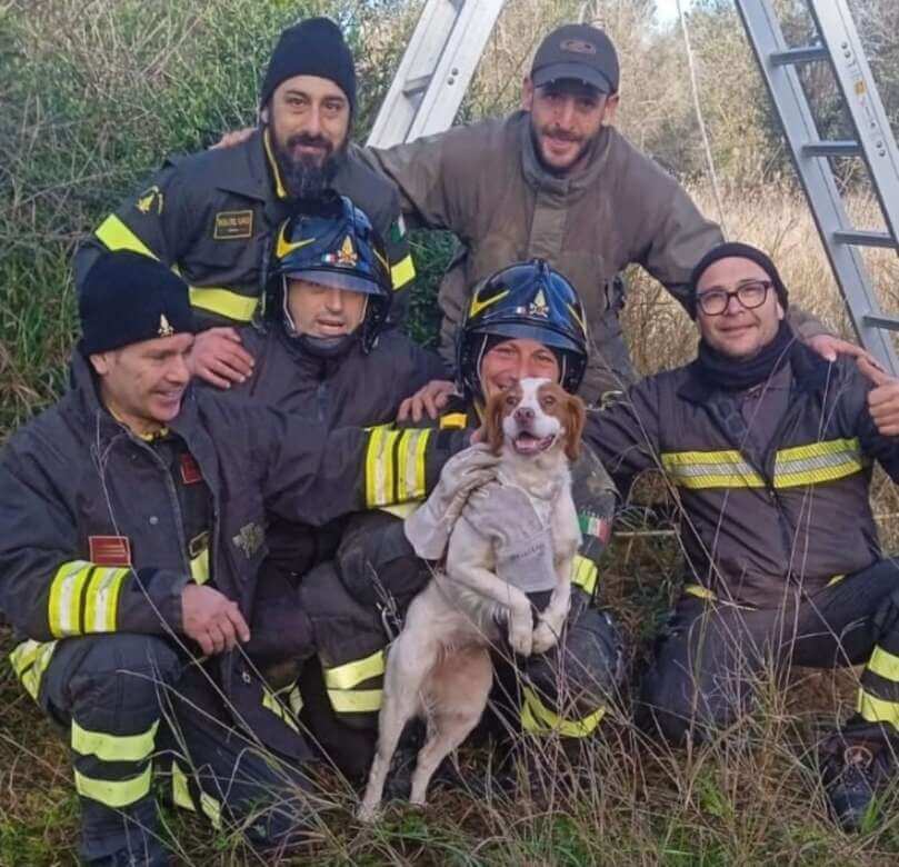 Galleria foto 'San Pietro Vernotico, cane da caccia finisce in un pozzo: salvato dai vigili del fuoco – FOTO' - foto 3