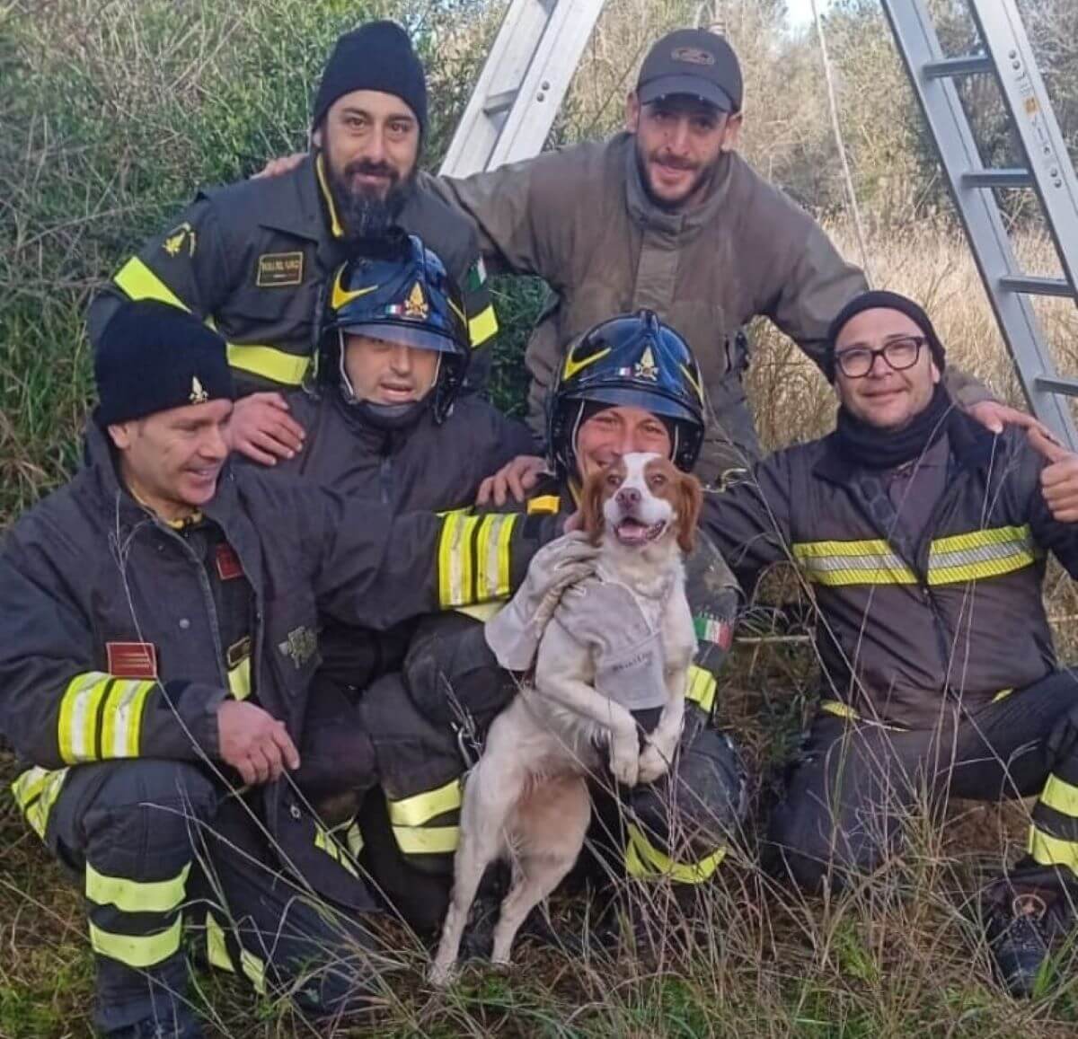 San Pietro Vernotico, cane da caccia finisce in un pozzo: salvato dai vigili del fuoco – FOTO San Pietro Vernotico, cane da caccia finisce in un pozzo: salvato dai vigili del fuoco – FOTO
