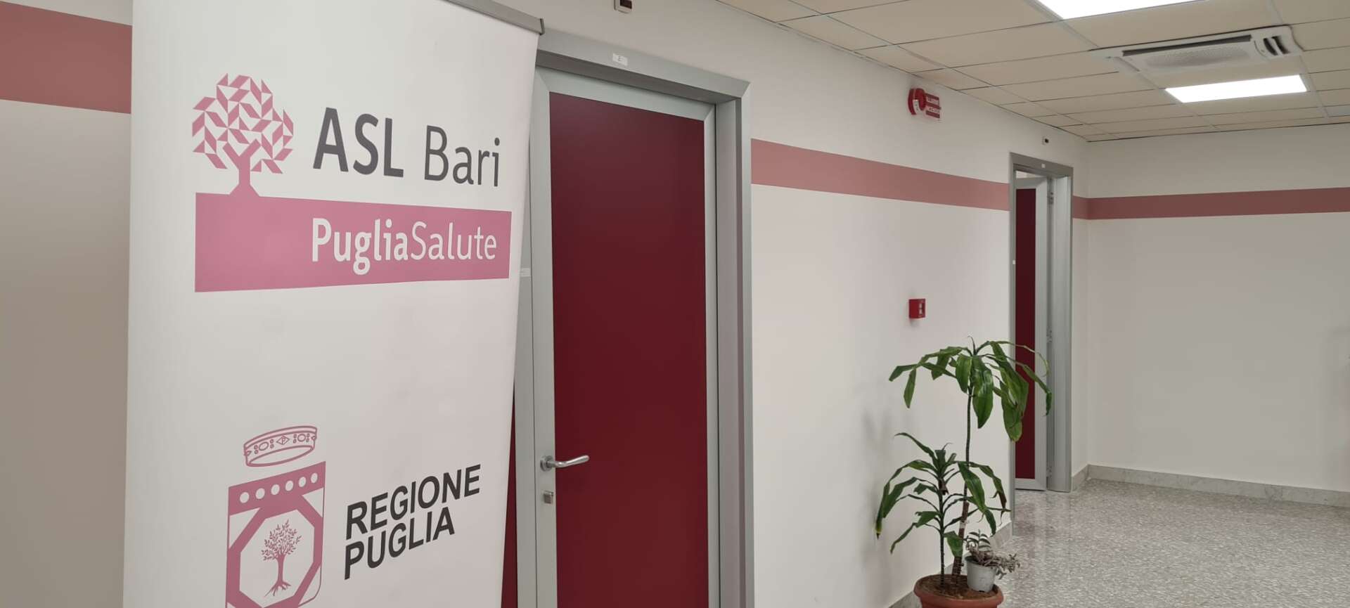 Tumori della cervice uterina, nel Barese consultori aperti per screening e test gratuiti Tumori della cervice uterina, nel Barese consultori aperti per screening e test gratuiti