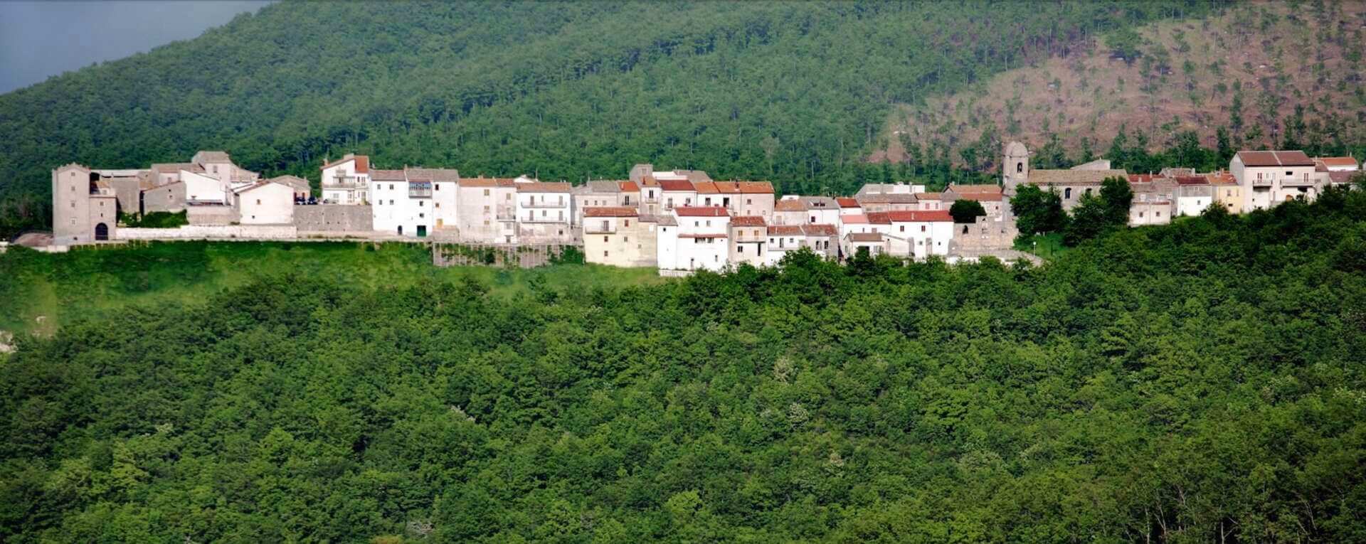 Sviluppo aree interne dal pazzo al visionario Sviluppo aree interne dal pazzo al visionario