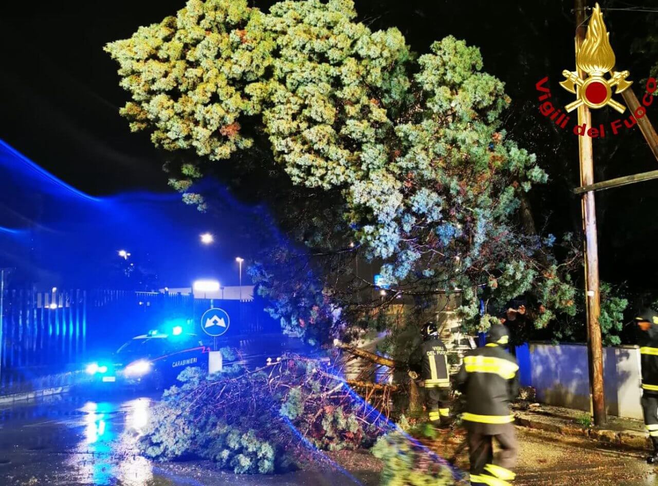 Allagamenti e caduta di alberi nel Foggiano: monitorato il torrente Lavella, esondato in alcuni punti