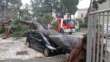 Maltempo, albero precipita su un’auto a Castellana. Allerta gialla per vento in Puglia
