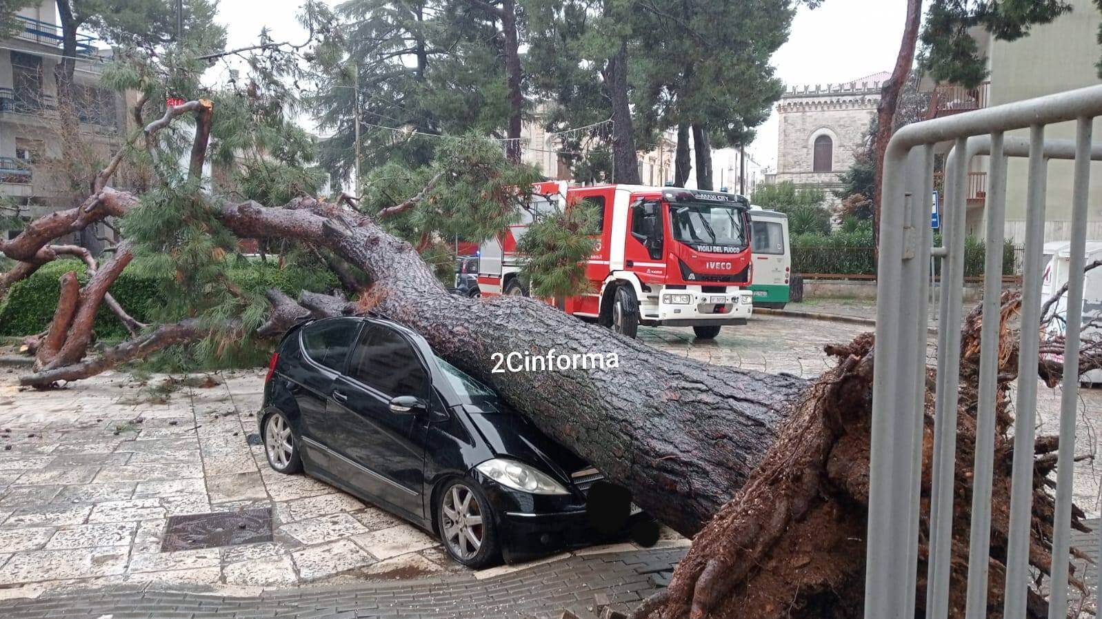 Maltempo, albero precipita su un’auto a Castellana. Allerta gialla per vento in Puglia Maltempo, albero precipita su un’auto a Castellana. Allerta gialla per vento in Puglia