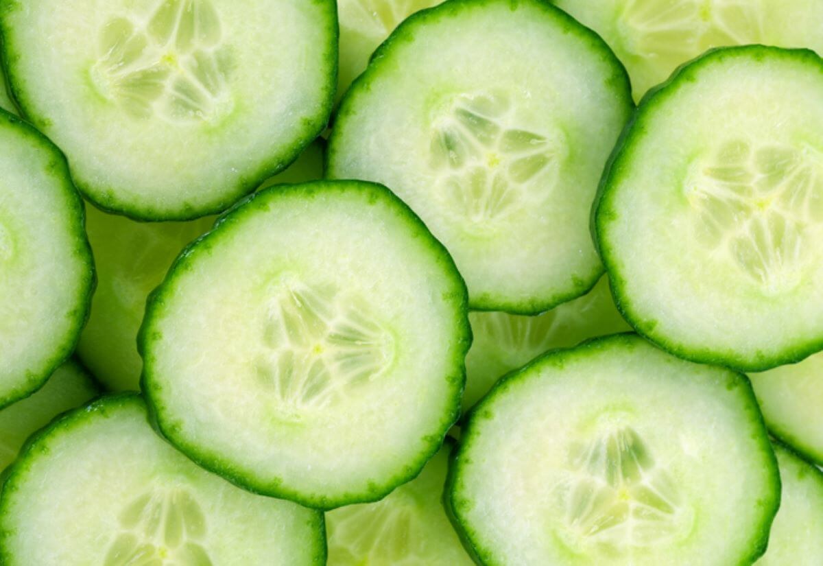 Cucurbitacine nei cetrioli: un fenomeno da analizzare Cucurbitacine nei cetrioli: un fenomeno da analizzare