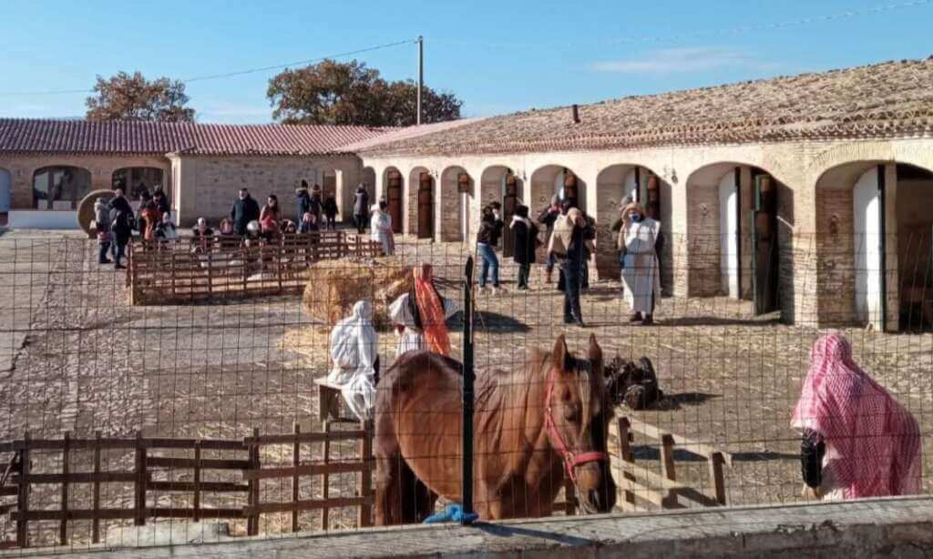 Galleria foto 'Epifania, in Puglia gite fuori porta e 4mila a tavola in agriturismo: nelle calze i dolci tipici' - foto 1