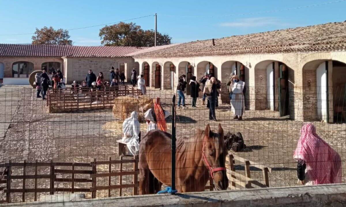 Epifania, in Puglia gite fuori porta e 4mila a tavola in agriturismo: nelle calze i dolci tipici Epifania, in Puglia gite fuori porta e 4mila a tavola in agriturismo: nelle calze i dolci tipici