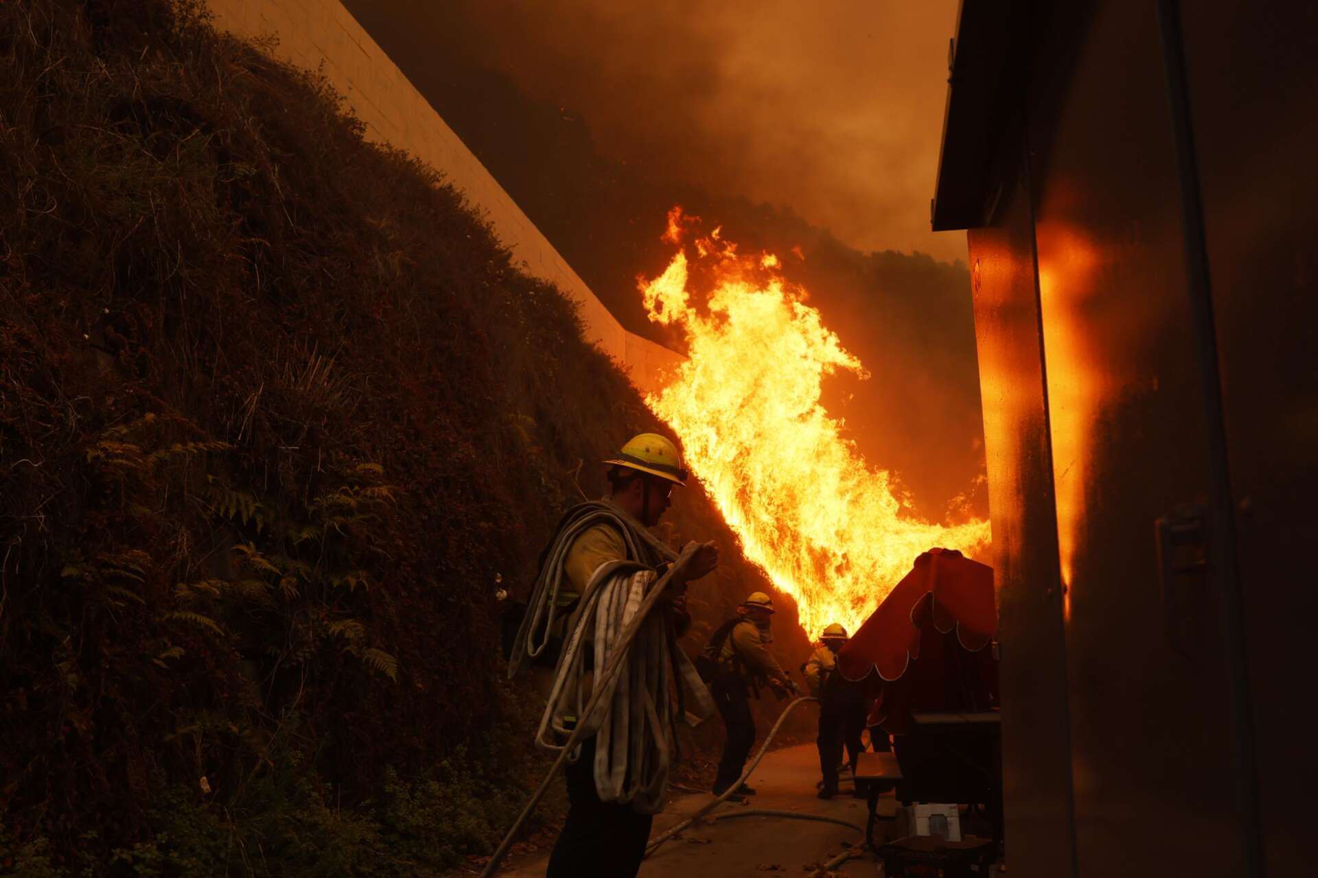 Los Angeles in fiamme, colpita la zona dei vip. Evacuati in 30mila Los Angeles in fiamme, colpita la zona dei vip. Evacuati in 30mila