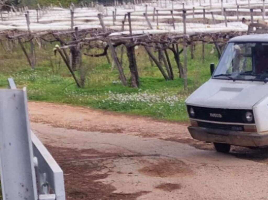 Galleria foto 'Tragedia nel Barese, schiacciato dal suo furgone mentre chiude il cancello: muore 59enne' - foto 1