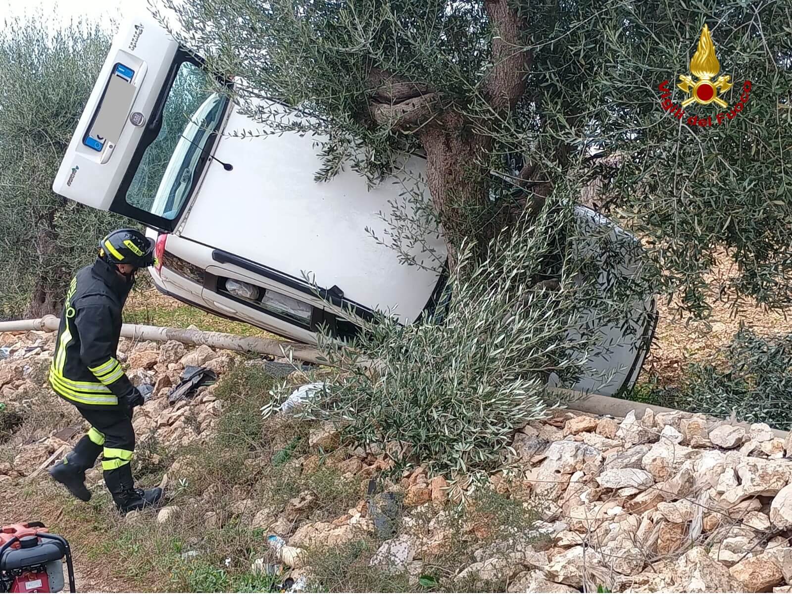 Auto contro un albero sulla Noicattaro-Mola: tre feriti in ospedale in codice rosso – FOTO Auto contro un albero sulla Noicattaro-Mola: tre feriti in ospedale in codice rosso – FOTO