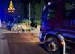 Incidente nel Salento, auto contro un muretto a secco: muore una 43enne