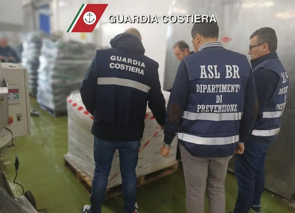 Sequestrata oltre mezza tonnellata di prodotto ittico non tracciabile in Puglia Sequestrata oltre mezza tonnellata di prodotto ittico non tracciabile in Puglia