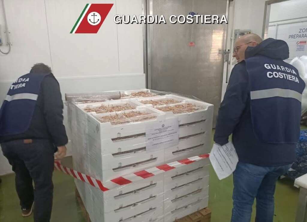 Galleria foto 'Sequestrata oltre mezza tonnellata di prodotto ittico non tracciabile in Puglia' - foto 2