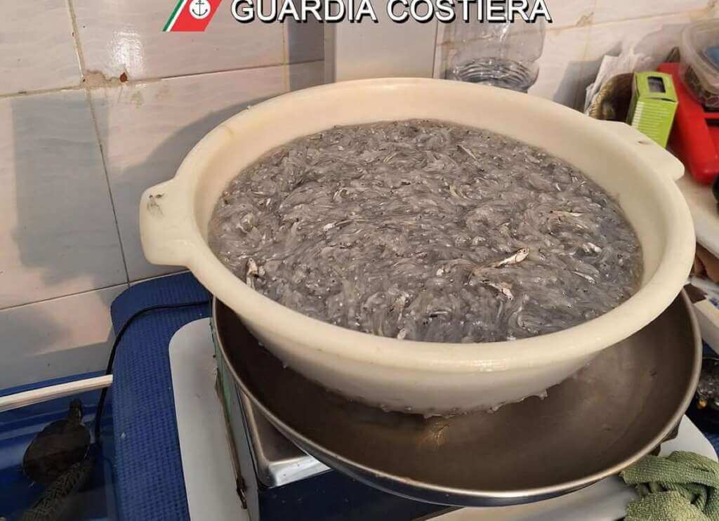 Galleria foto 'Sequestrata oltre mezza tonnellata di prodotto ittico non tracciabile in Puglia' - foto 3
